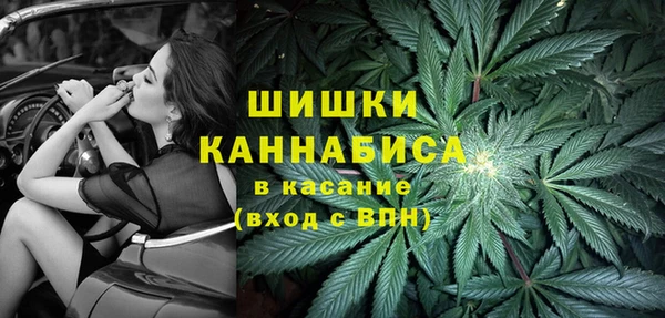 СК Аркадак