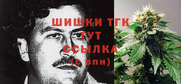 СК Аркадак
