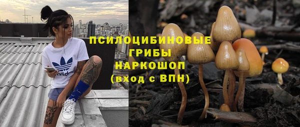СК Аркадак