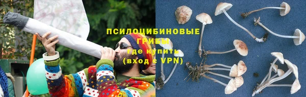 mdpv Арсеньев