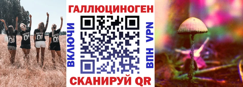 Галлюциногенные грибы Psilocybe  нарко площадка наркотические препараты  Междуреченск 
